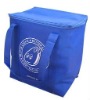 Durable Outdoor Non Woven Picnic Bag For Food(glt-c0055)