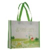 Durable PP Nonwoven Advertising Bag(glt-a0284)