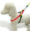 Durable Woven Dogs Belts (pets belt)