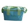 Durable non woven 210d cooler bag