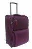 EVA  Aluminum Luggage Trolley Case