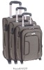 EVA Luggage Trolley Suitcase