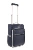 EVA TROLLEY CASE