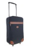 EVA TROLLEY CASE