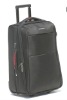 EVA Trolley case