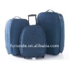 EVA  fashion travel luggage