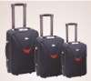 EVA luggage