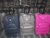 EVA luggage case