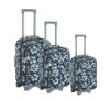 EVA luggage case PS