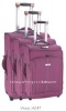 EVA luggage cover