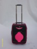 EVA travel luggage8906
