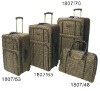 EVA  trolley luggage