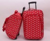 EVA trolley luggage case