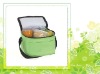 Eco Friendly Insulated Nonwoven Cooler Bag