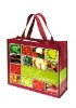 Eco Green Bag