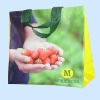 Eco-friendly Laminated PE Woven Shopping Bag