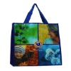 Eco-friendly Laminated PP Shopping Bag