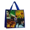 Eco-friendly Laminated PP Woven Shopping Bag