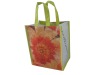 Eco-friendly Non Woven Bag for Shopping