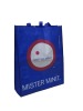 Eco-friendly  Non-woven Promotional Bag