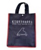 Eco-friendly Non-woven bag Shopping bag XT-NW010909
