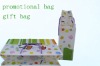 Eco-friendly PP Dressing Bag