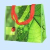 Eco-friendly PP Woven Shopping Bag
