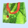 Eco-friendly PP bags for shopping