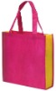 Eco-friendly PP non woven gift bag