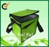 Eco-friendly PP non woven picnic cooler bag