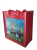 Eco-friendly PP promotional Shopping Bag