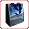 Eco friendly PP shopping bag