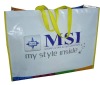 Eco-friendly Promotional PP Woven Shopping Bag
