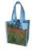 Eco-friendly Shopping Bag