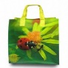 Eco-friendly and Waterproof PP Woven Bag (glt-w0261)