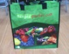 Eco-friendly colorful pp woven laminated shopping bag