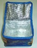 Eco-friendly ice bag