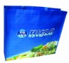 Eco-friendly non woven bag