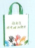 Eco-friendly non woven shopping bag