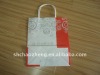 Eco-friendly shopping paper bag