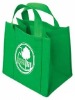 Eco green bag