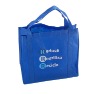 Eco non woven bag