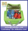 Eco non woven bottle cool bag