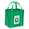 Eco non woven promotional bag