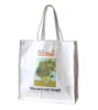 Eco nonwoven handbag