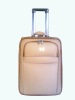 Economic pvc trolley luggage