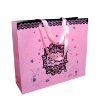 Elegant Paper Shopping Bag (Item No.DYP209)