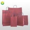 Elegant paper shopping bag