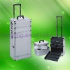 Elegant professional trolley case