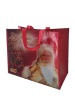 Environmental-friendly Promotional PP Film Lamination Shopping Bag